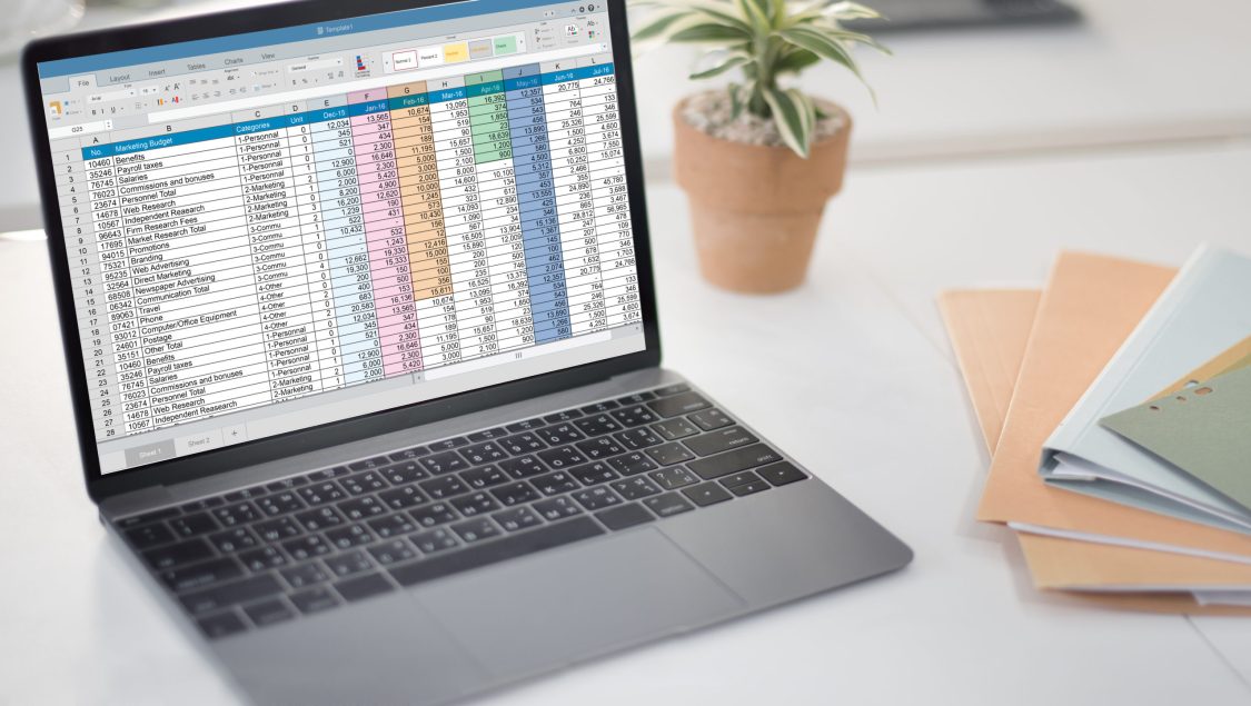 The consequences of running your business on Spreadsheets